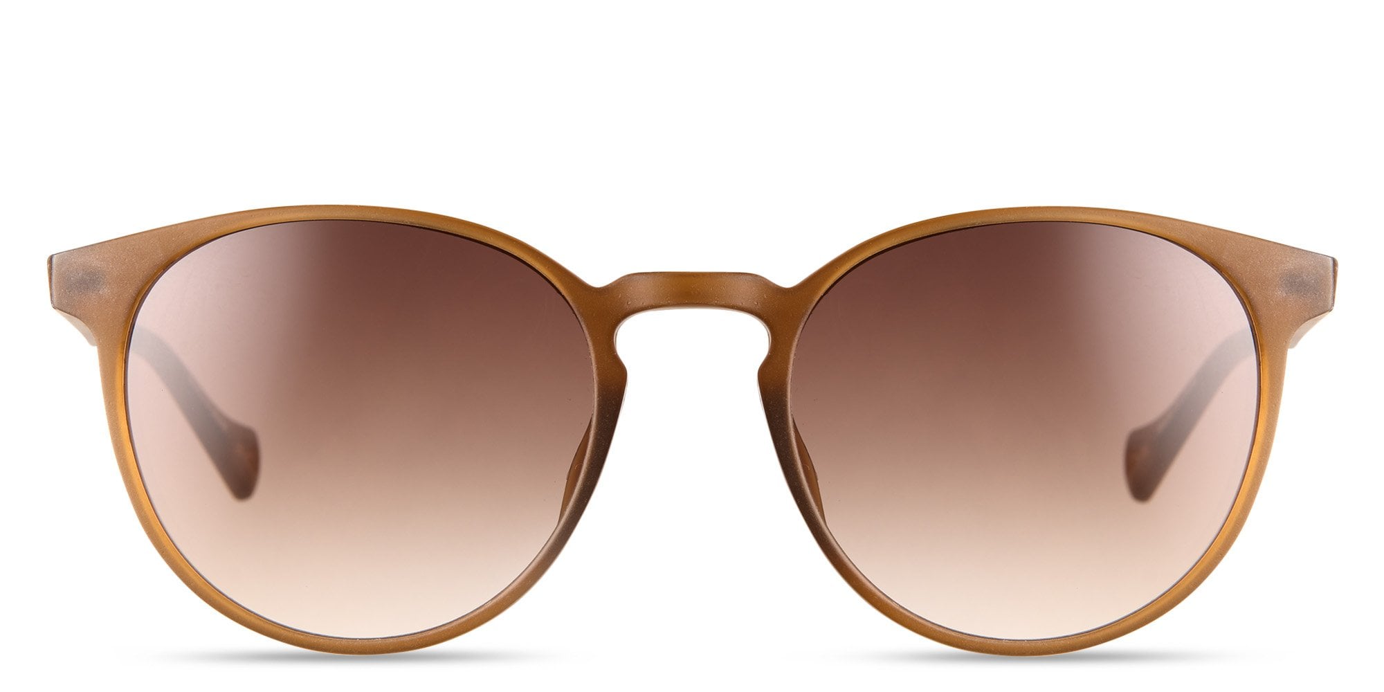 Front Glasses Image