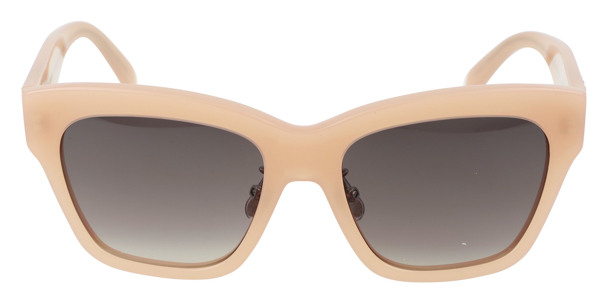 Kits.ca -- Celine CL40253F