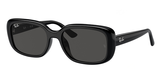 Kits.ca -- Ray-Ban RB4421D