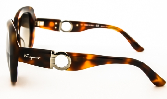 -- Salvatore Ferragamo SF727S