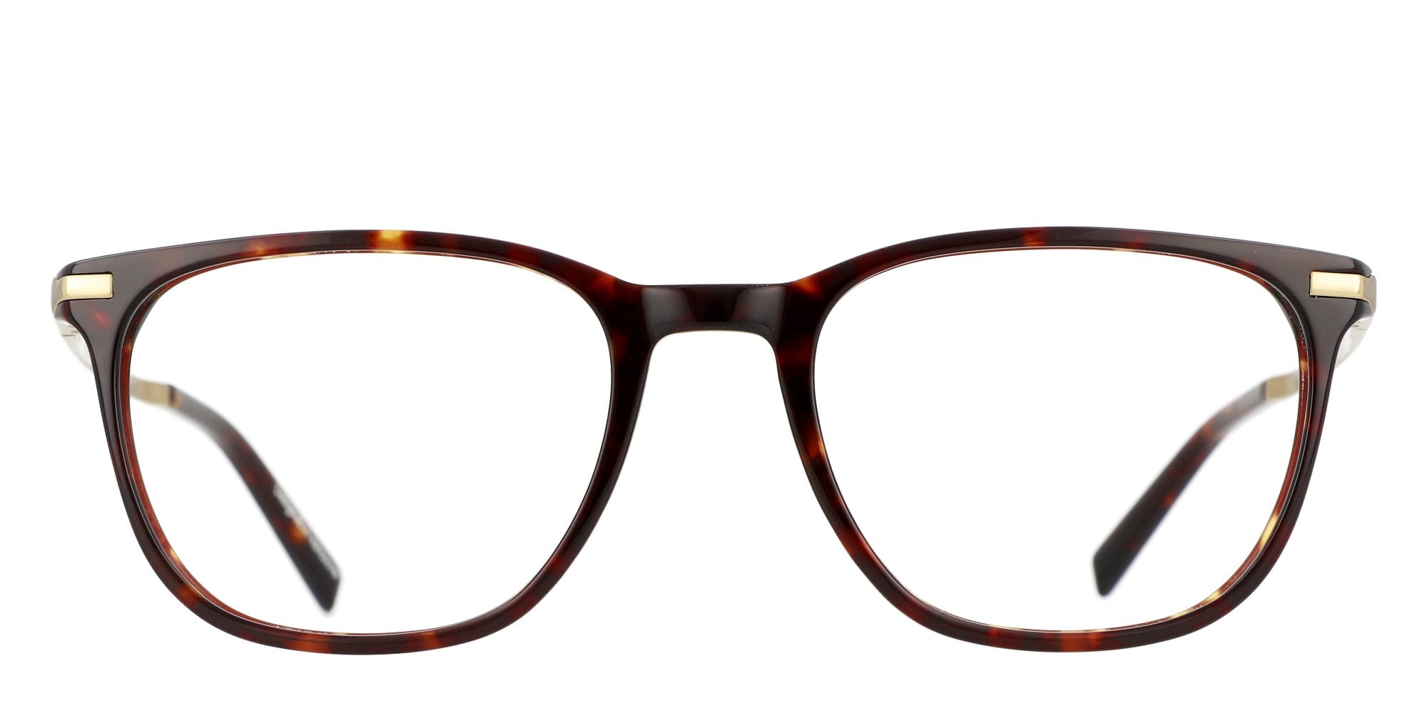 Kits.ca -- KITS Jerry