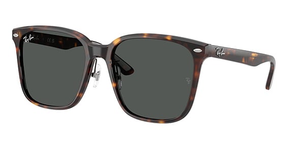 Kits.ca -- Ray-Ban RB2206D