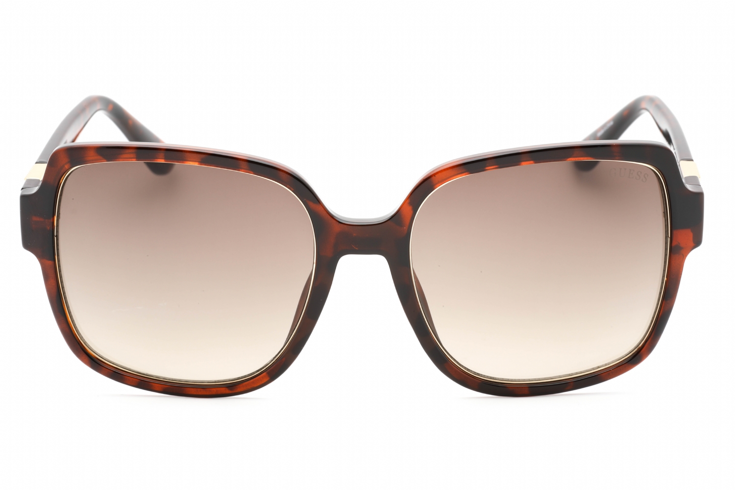 Dark Havana Guess GF6180 Sunglasses — Mixed Shapes | KITS