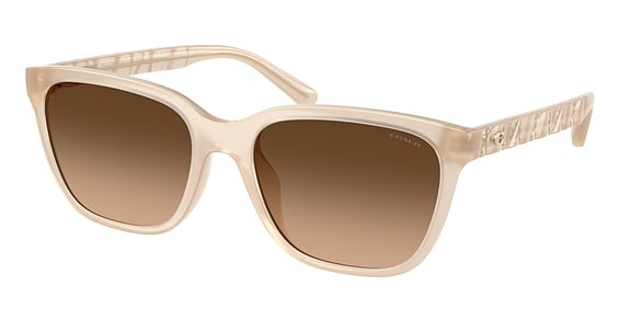 COACH HC8429D CAE86 - Milky Coconut, Acetate, Rectangle frame