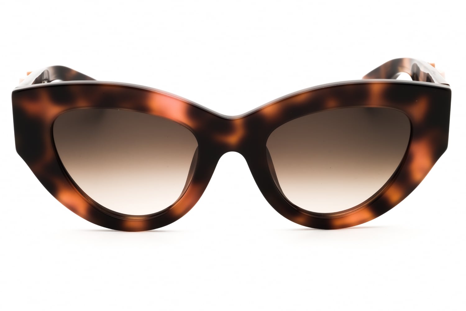 Roberto Cavalli SRC009M - Sh.dark Havana, Acetate, Cat Eye frame