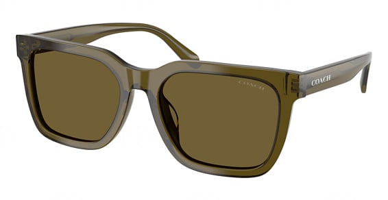 COACH HC8466U CFU12 - Transparent Olive, Plastic, Mixed Shapes frame