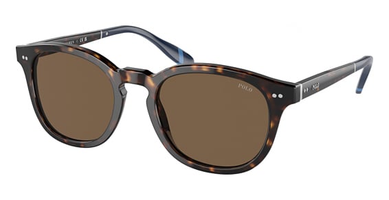 Polo PH4206 - Shiny Dark Havana, Plastic, Oval frame