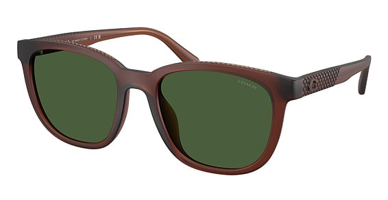 COACH HC8442U CCA00 - Matte Transparent Brown, Acetate, Oval frame