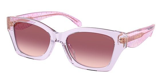 COACH HC8451U CDP49 - Transparent Iris, Plastic, Oval frame