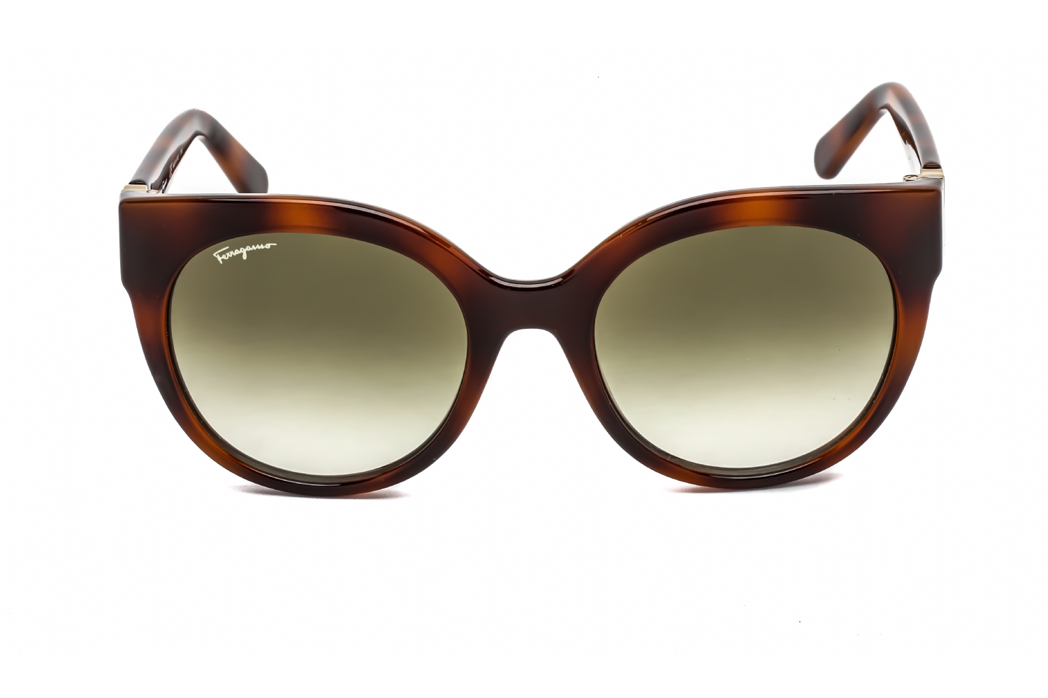 Salvatore Ferragamo SF1031S - Tortoise, Acetate, Round frame