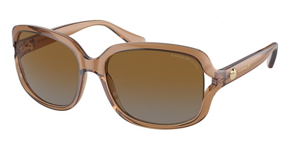 COACH HC8169 L149 - Transparent Brown, Acetate, Oval frame