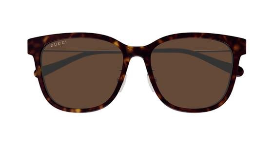 Gucci GG1884SK - Havana Gold, Acetate, Round frame
