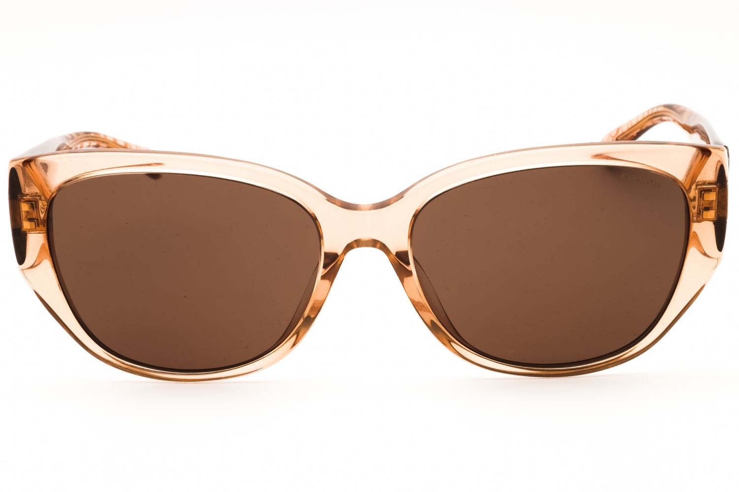 KATE SPADE Women’s Tan Oversized Sunglasses Danalyn Kits.ca -- Kate Spade Danalyn/S main image 2
