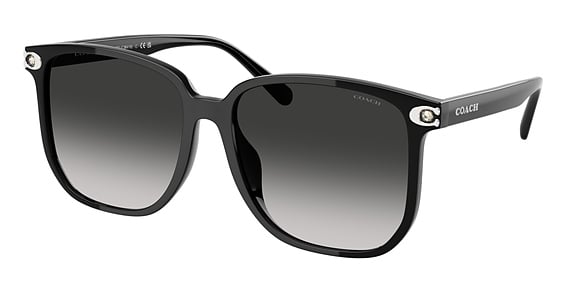 COACH HC8413BD CW419 - Black, Acetate, Rectangle frame