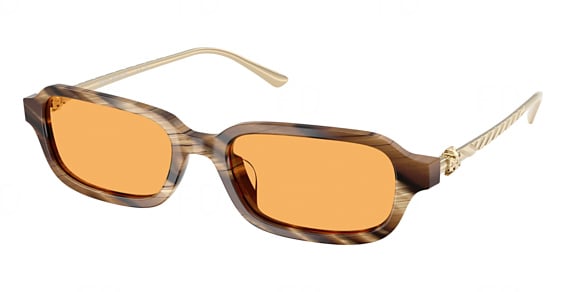 Tory Burch TY7243U - Brown Horn, Plastic, Mixed Shapes frame