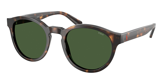 Polo PH4192 - Shiny Dark Havana, Plastic, Oval frame
