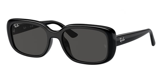 Ray-Ban RB4421D - Black, Acetate, Oval frame