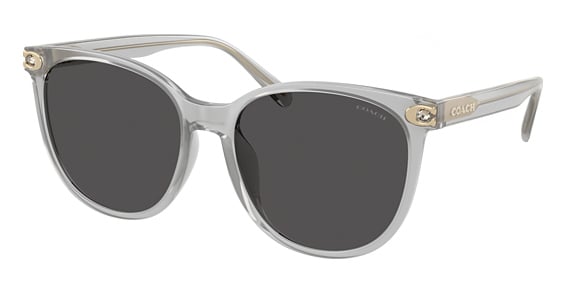 COACH HC8414BD CW428 - Transparent Dove, Acetate, Oval frame