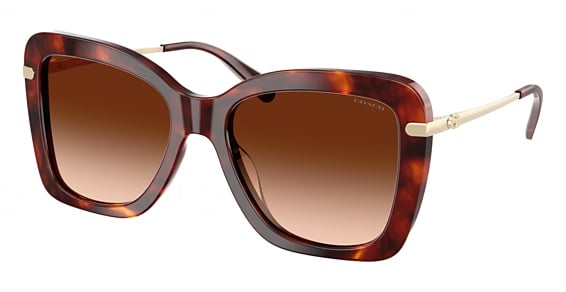 COACH HC8461U CFU03 - Walnut Tortoise, Plastic, Mixed Shapes frame