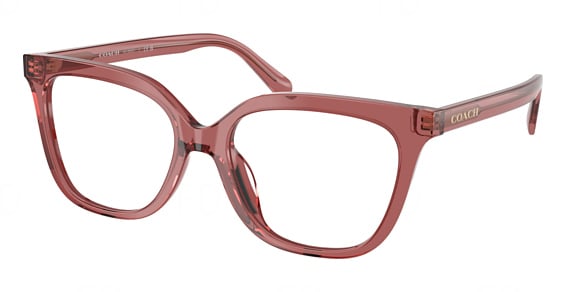 COACH HC6302U - Transparent Smoke Pink, Plastic, Mixed Shapes frame