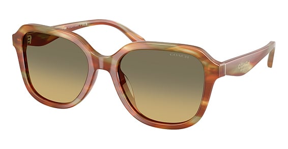 COACH HC8437U CBY87 - Striated Bark, Plastic, Cat Eye frame