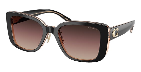 COACH HC8352 CD472 - Black, Plastic, Cat Eye frame