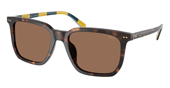 Polo PH4224U - Shiny Dark Havana, Plastic, Rectangle frame