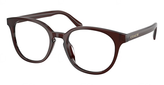 COACH HC6301F - Milky Pecan, Plastic, Mixed Shapes frame