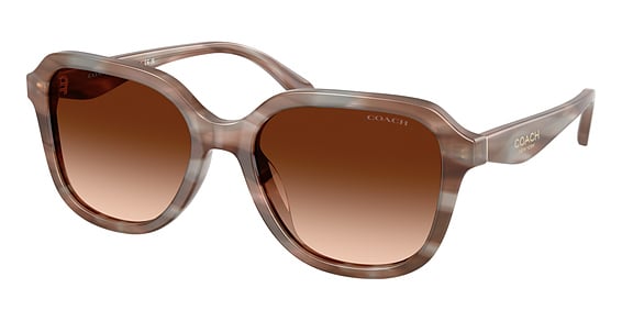 COACH HC8437F CBY89 - Striated Redwood, Plastic, Cat Eye frame