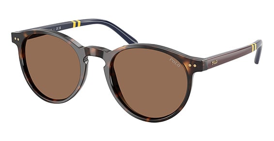 Polo PH4236 - Shiny Dark Havana, Plastic, Round frame
