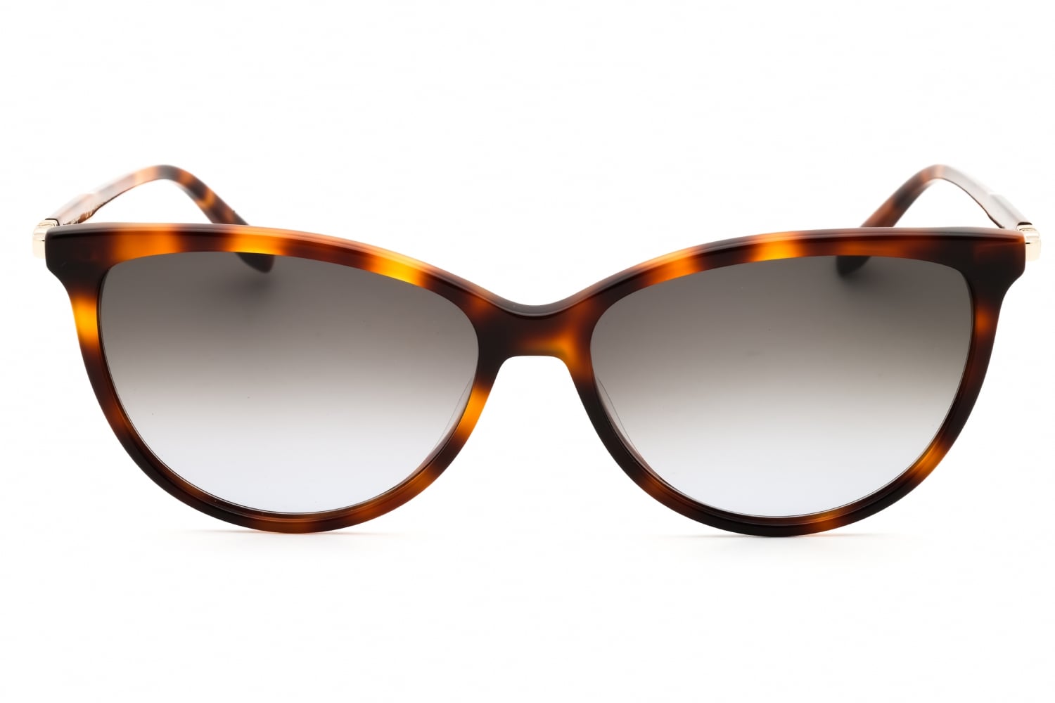 Salvatore Ferragamo SF2870SCP - Havana, Acetate, Oval frame