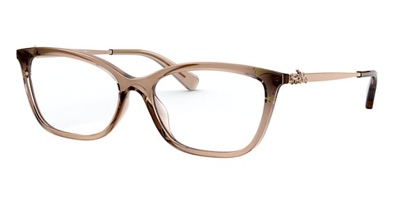 COACH HC6146U - Transparent Brown, Acetate, Oval frame