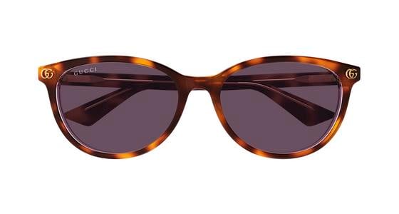 Gucci GG1818SK - Havana, Acetate, Round frame
