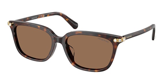Swarovski SK6064D - Havana, Plastic, Oval frame