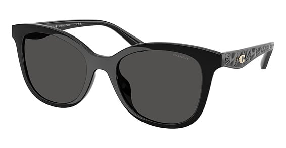 COACH HC8419U CAD25 - Black, Acetate, Oval frame