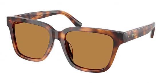Polo PH4247U - Shiny Tortoise, Plastic, Mixed Shapes frame