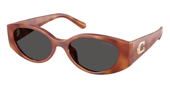 COACH HC8462U CFU06 - Caramel Tortoise, Acetate, Mixed Shapes frame