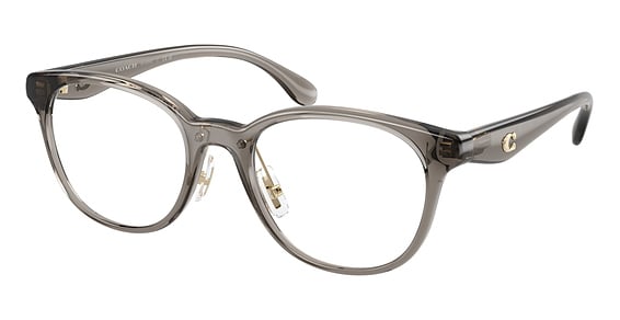 COACH HC6294D - Transparent Light Grey, Acetate, Oval frame